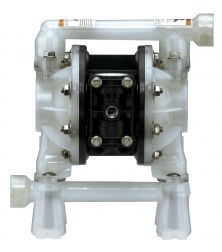 Pd07p
